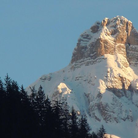 Affittacamere Pizzeria Marmolada Rocca Pietore Eksteriør bilde